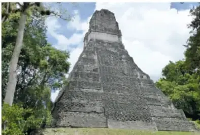 Fotografía de una pirámide maya de piedra con escalinata, rodeada de árboles, en la zona arqueológica de Calakmul.