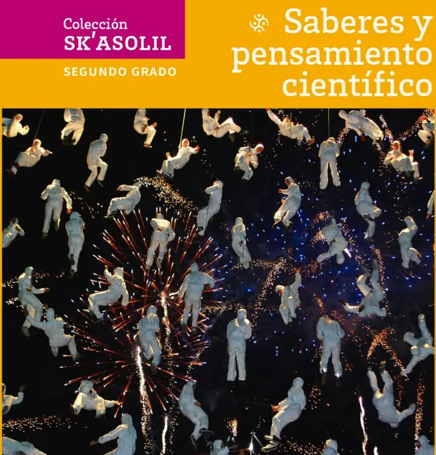 Figura 1 de Colección Sk´asolil. Saberes y pensamiento científico. Libro de Educación Secundaria Grado 2° Ciclo Escolar 2025 - 2026