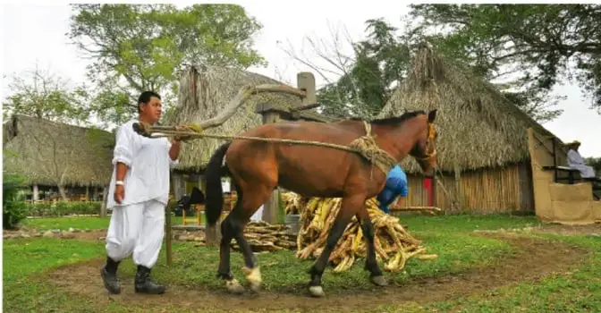 Persona con caballo de tiro junto a viviendas de paja en una comunidad rural, probablemente relacionado con actividades productivas tradicionales (molienda o transporte)