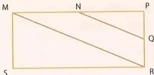 Rectángulo o paralelogramo con puntos N y Q en dos lados y segmentos paralelos que forman dos triángulos.