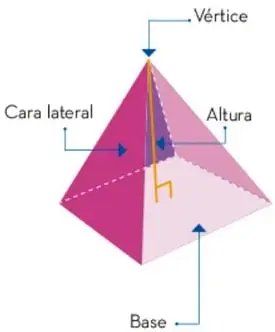 Pirámide regular con etiquetas: vértice, cara lateral, altura y base.