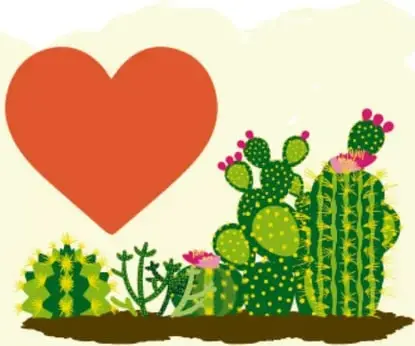 Corazón rojo naranja grande sobre un grupo de cactus con flores, que expresa cariño y conservación.