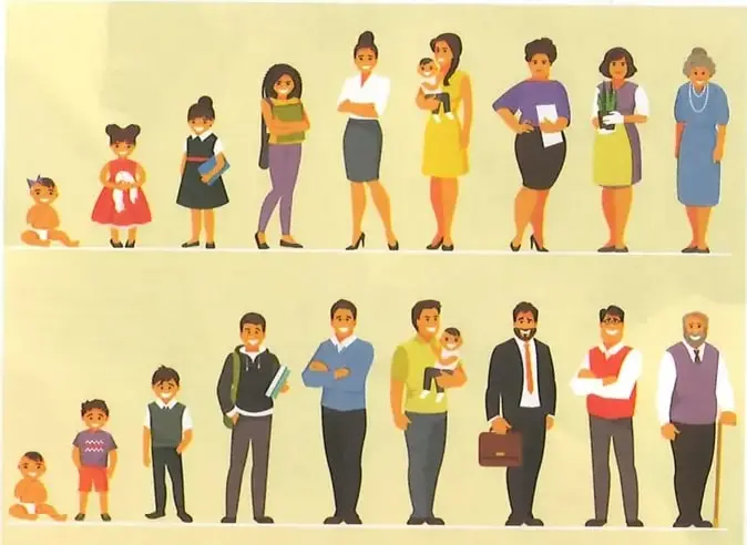 Ilustración de personas en diferentes edades, desde la infancia hasta la vejez, que representa las etapas del ciclo vital humano.