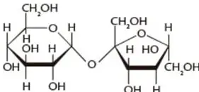 Estructura de la sacarosa formada por la unión de una molécula de glucosa y una de fructosa mediante un enlace glucosídico.