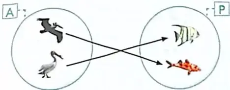 Recuadro de diversidad funcional que recomienda ayudar como tutor a un compañero con discapacidad visual.