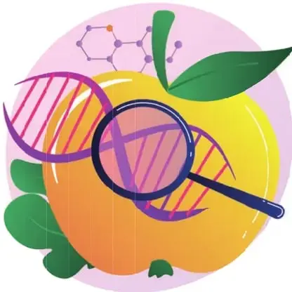 Ilustración de una manzana amarilla con doble hélice de ADN dentro y una lupa, sugiriendo análisis genético de alimentos.