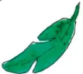 Pluma verde suelta sobre el fondo blanco.
