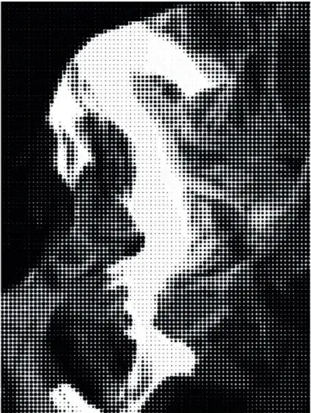 Imagen en blanco y negro formada por una trama de puntos que, según cómo se mire, muestra el perfil de un rostro humano o la silueta de un ave levantando el vuelo.