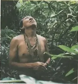 Persona de un pueblo indígena en un entorno natural, relacionada con el uso y cuidado de los recursos naturales.