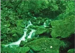 Paisaje natural con abundante vegetación y una cascada, relacionado con las plantas y los ecosistemas.