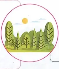 Figura 2 de Ciencias Naturales 9° · 2025