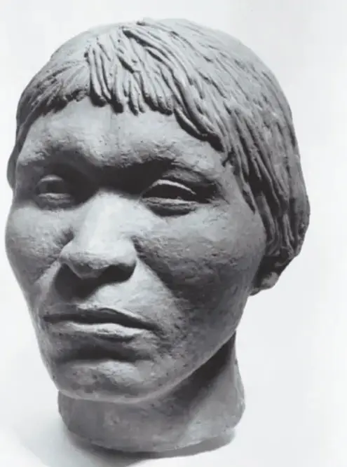 Reconstrucción escultórica en tonos grises del rostro del individuo de Tepexpan, con cabello corto y rasgos realistas.