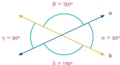 Dos rectas oblicuas $a$ y $b$ que se intersecan formando cuatro ángulos: $\alpha = 50^\circ$, $\beta = 130^\circ$, $\gamma = 50^\circ$, $\delta = 130^\circ$.