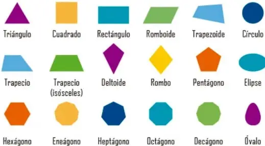 Figura 7 de Nuestros saberes: Libro para alumnos, maestros y familia.   Libro de Educación Primaria Grado 6°  Ciclo Escolar 2025 - 2026
