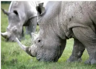 Río contaminado con desechos materiales y basura flotante.
