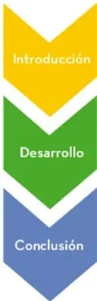 Diagrama de flechas descendentes en tres colores que representan la estructura de la biografía: amarilla (Introducción), verde (Desarrollo) y azul (Conclusión), cada una con su descripción en un recuadro a la derecha.