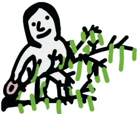 Figura de una mujer sentada junto a las ramas del sauce con hojas verdes, en estilo de contorno negro.