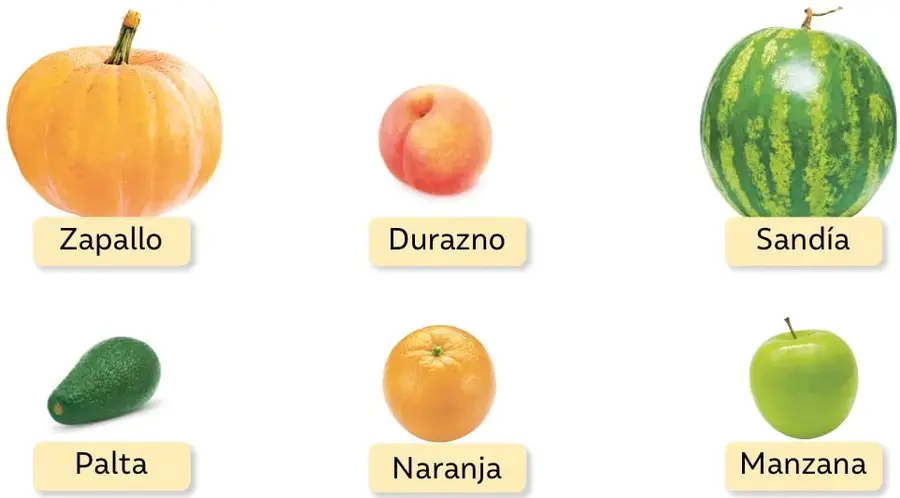 Zapallo o calabaza anaranjada grande con tallo verde.