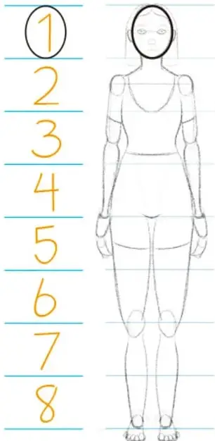 Figura humana de pie, de cuerpo entero, junto a una escala vertical numerada del 1 al 8 que marca la altura de cada cabeza.