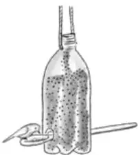 Botella plástica con tapa perforada y pajita, con agua y burbujas; una cuchara al costado. No hay mano vertiendo agua.