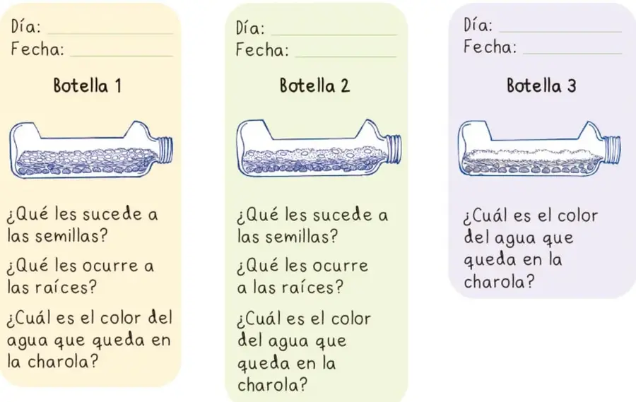 Tres tarjetas de registro de colores: amarilla (Botella 1), verde (Botella 2) y morada (Botella 3); cada una tiene campos de Día y Fecha, un dibujo de la botella acostada con su contenido y las preguntas de observación correspondientes.