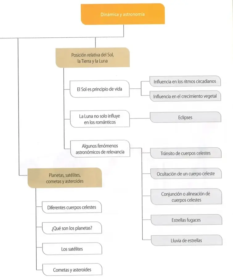 Figura 1 de Ciencias Naturales 8° · Egb 8 Ciencias Naturales 2025 · 2025