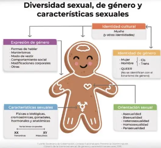 Infografía con una figura humana central que muestra cinco categorías de diversidad: identidad cultural, expresión de género, identidad de género, orientación sexual y características sexuales, con ejemplos en cada recuadro.