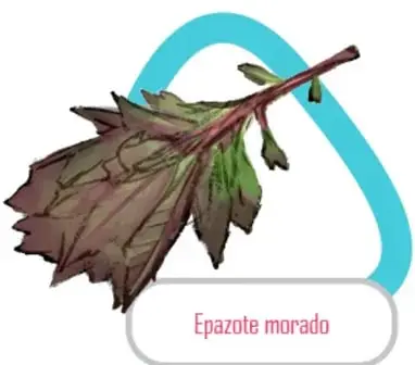 Figura 5 de Nuestros saberes: Libro para alumnos, maestros y familia. Libro de Educación Primaria Grado 1° Ciclo Escolar 2025 - 2026