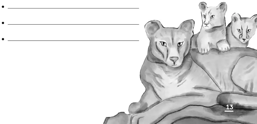 Ilustración en blanco y negro de una puma adulta con dos cachorros sobre una roca.