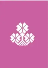 Motivo decorativo geométrico blanco sobre franja magenta.