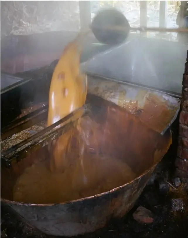 Foto de la producción de panela: se vierte un líquido caliente y espeso (miel de caña) desde un recipiente a un contenedor metálico semicircular dentro de una hornilla, con vapor elevándose.
