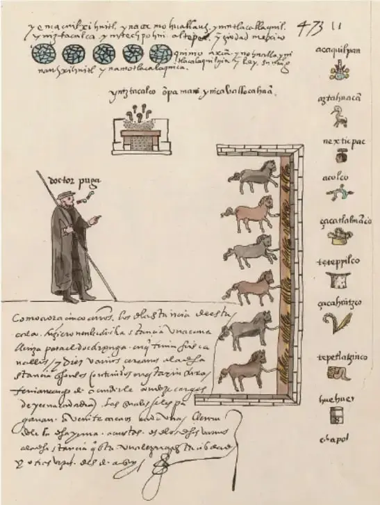 Códice colonial con glifos y anotaciones en náhuatl y español. Se observan animales como caballos, cerdos y ovejas, así como un personaje español con bastón. El documento registra la introducción de especies animales y la interacción cultural.