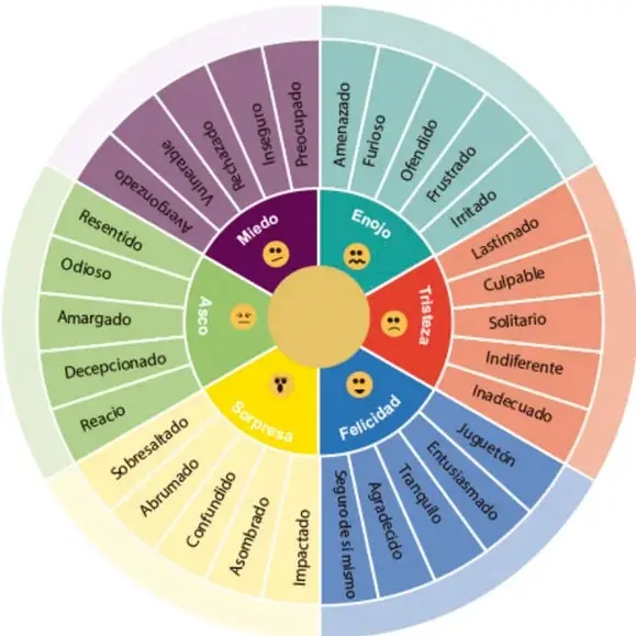 Ruleta de las emociones con seis secciones de colores: Miedo (morado), Enojo (verde azulado), Tristeza (rojo), Felicidad (azul), Sorpresa (amarillo) y Asco (verde). Cada sección incluye una carita y matices emocionales.