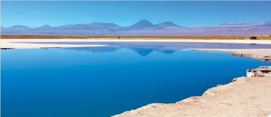 Fotografía de la Laguna Cejar, en el norte de Chile: una laguna de color azul intenso con bordes de arena y sal, y volcanes nevados al fondo bajo un cielo despejado.