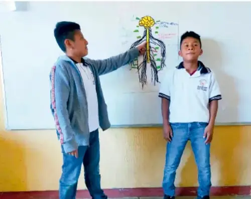 Fotografía de dos estudiantes junto a un pizarrón donde está pegado un cartel gráfico del sistema nervioso central (cerebro con raíces nerviosas), uno de ellos señala el cartel.