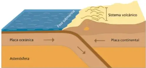 Dos diagramas: la placa oceánica subduciendo junto a una costa con palmeras y la generación de una ola (tsunami).