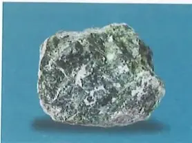 Figura 4 de Ciencias Naturales 10° · 2025