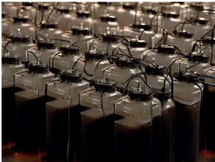Fotografía de una serie de depósitos de plástico oscuro con agua y cables conectados: la batería eterna de melanina (Bat Gen) de Arturo Solís Herrera.
