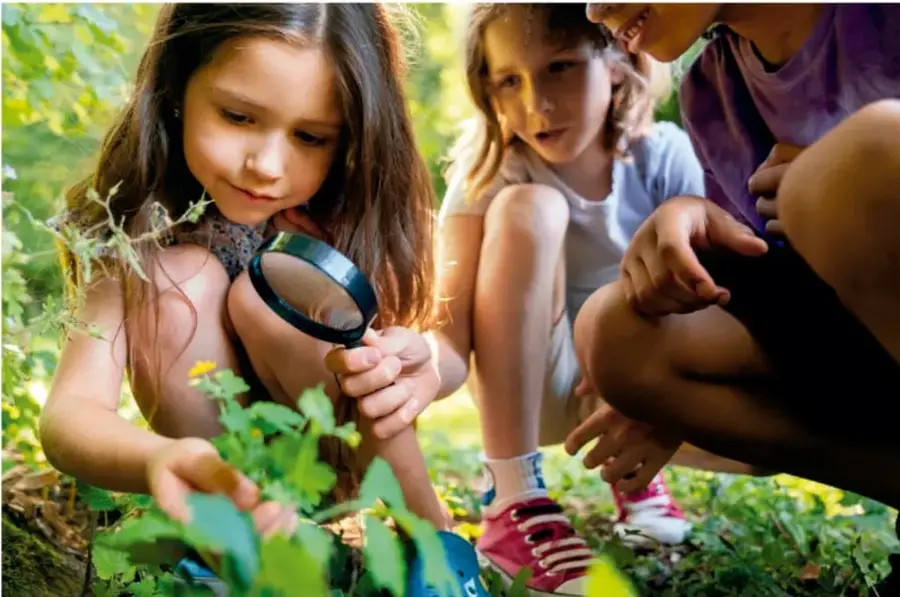 Fotografía de tres niños en un entorno natural. Una niña observa con una lupa una planta pequeña, mientras otros dos niños la acompañan agachados entre la vegetación.