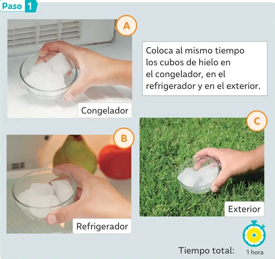Una mano coloca cubos de hielo en un pocillo frente a un congelador abierto. Etiqueta: Congelador.