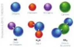 Silueta humana con porcentaje de elementos químicos (65% oxígeno).