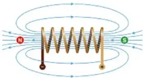Ilustración de una bobina (espiral) con líneas de campo magnético a su alrededor y terminales marcados con − y +.