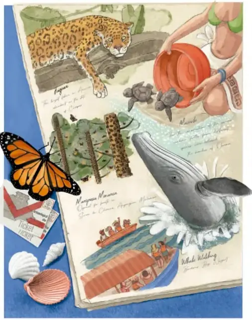 Cuaderno abierto con ilustraciones de fauna: jaguar, tortugas marinas, mariposa monarca, conchas, embarcación y ballena gris; una persona sostiene una vasija de barro.