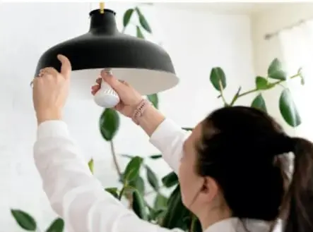 Manos de una persona colocando un foco LED en una lámpara colgante negra, junto a plantas.