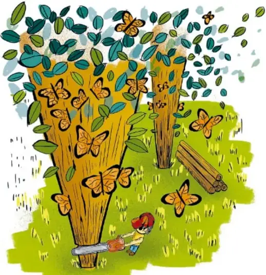 Ilustración de un tronco de árbol con mariposas y hojas cayendo, con un niño aserrándolo; crédito a Luis Fernando Sotelo Gaspar, Querétaro.