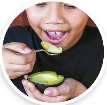 Niño comiendo aguacate con una cuchara, sostiene la mitad del aguacate en la mano