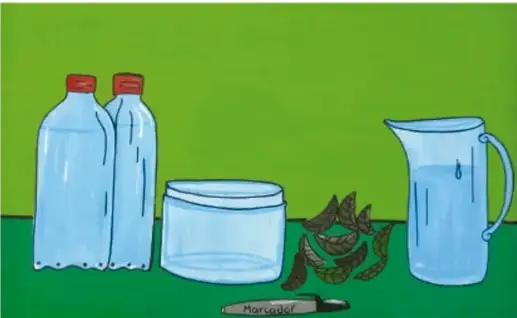Ilustración de materiales: dos botellas de plástico transparentes, un recipiente de vidrio, hojas secas, un plumón y una jarra con agua.