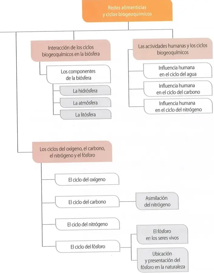 Figura 1 de Ciencias Naturales 8° · Egb 8 Ciencias Naturales 2025 · 2025