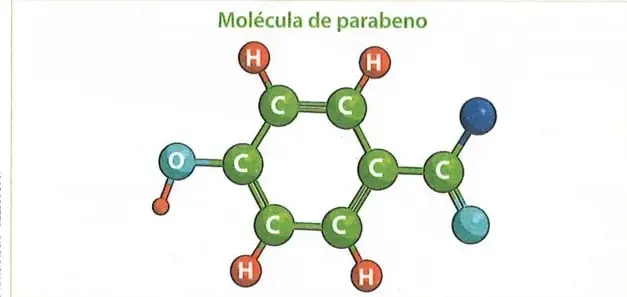 Figura 2 de Ciencias Naturales 9° · 2025