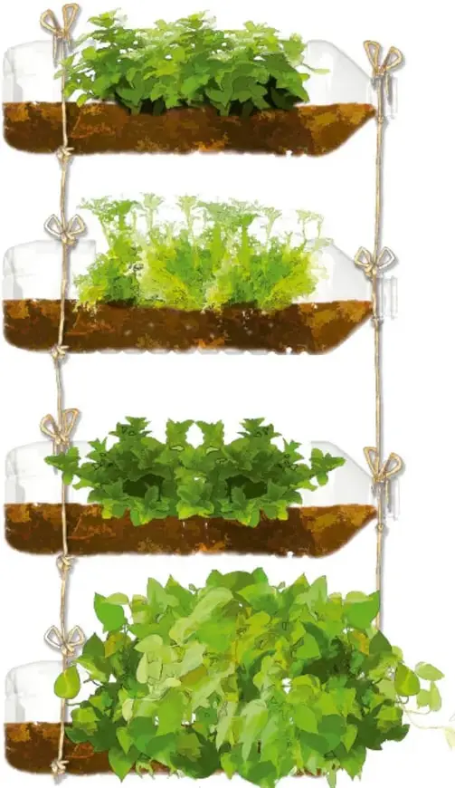 Huerto vertical hecho con botellas de plástico recicladas colgadas con cuerda, con plantas verdes creciendo en tierra.